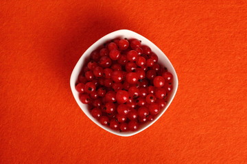 Red Currant Berries