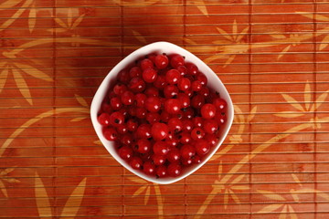 Red Currant Berries