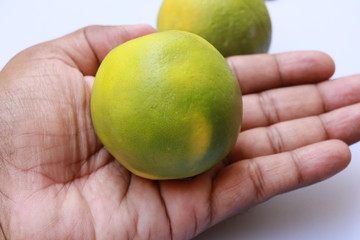 Hand holding yellow color sliced ripe Sweet lime fruit or Citrus limetta

