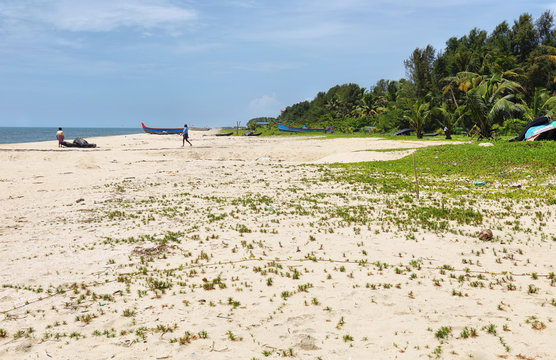 Tropical white sand beach of mararikulam, Kerala, India