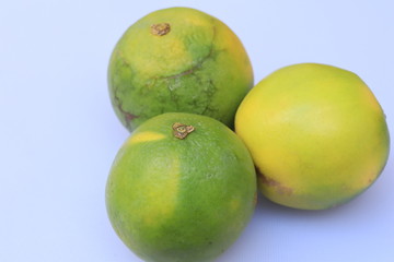 Yellow and green color whole ripe Sweet lime fruits or Citrus limetta