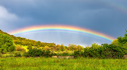 Panoramic view of double rainbow over green vegetation.