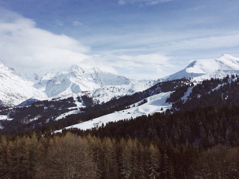 Processed with VSCO with fp1 preset