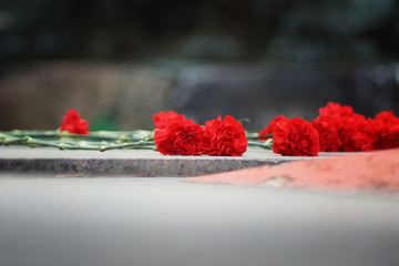 Laying flowers on the 9th of May for veterans