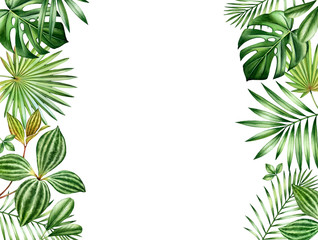 Watercolor tropical leaves background. Horizontal borders with exotic plants and place for text. Hand painted floral banner. Realistic botanical illustration isolated on white