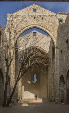 Santa Maria dello Spasimo - Palermo
Ailanthus altissima spontaneously grown inside the ruins of the Church, before its demolition in April 2020