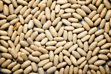 Haricot beans close up