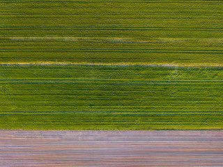 field soil gras top view aerial