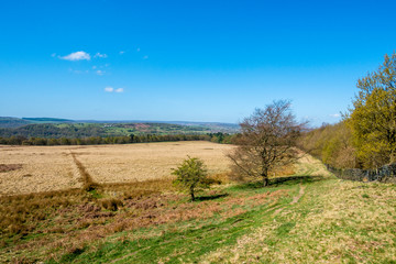 spring landscape with blue sky and clouds in Yorkshire