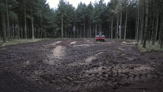 Long shot of mulcher finishing a clearing in the forest