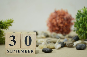 September 30, Number cube design in natural concept.