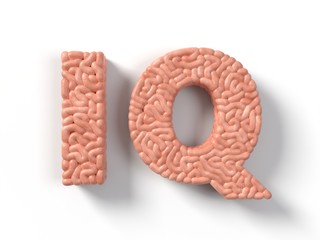iq workd in made of human brain. 3D illustration