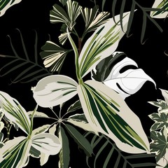 Seamless pattern with traditional homeplant ficus, Ginkgo biloba and palm leaves. Endless texture o black background.
