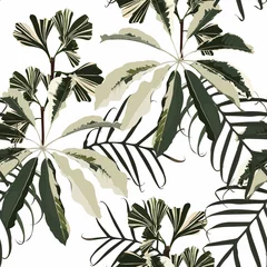 Tapeten Botanischer Druck Nahtloses Muster mit traditionellem Hauspflanzenficus, Ginkgo biloba und Palmblättern. Endlose Textur oder weißer Hintergrund.