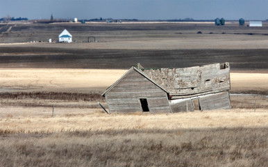 Landscape Saskatchewan Prairie