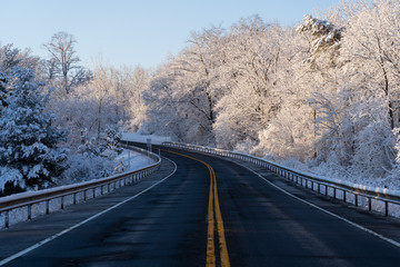 Obraz premium Road in forest in winter