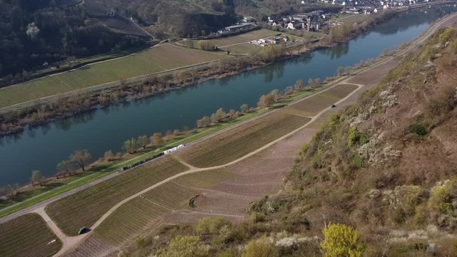 Moseltal bei Valwig,  Apolloweg im Fr&uuml;hling, Weinbau und Brachen