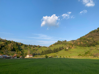 Fototapeta na wymiar rural landscape with a house