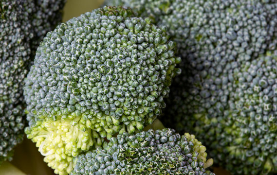 Close Up Vegetables