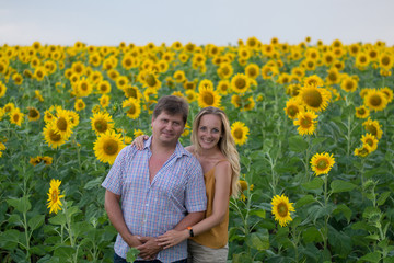 young couple in the field of sunflowers. young couple in the field