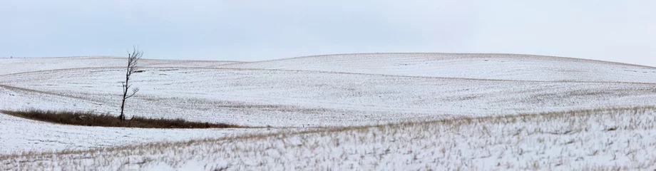 Foto op Plexiglas Landscape Saskatchewan Prairie © pictureguy32