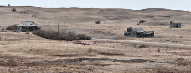 Landscape Saskatchewan Prairie