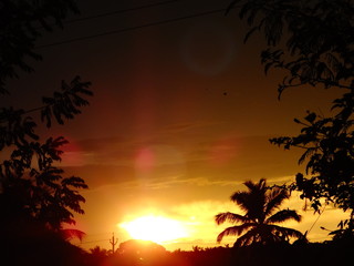 Fototapeta premium sunset with palm trees