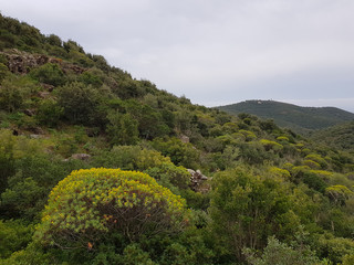 Pesaggio di Sardegna