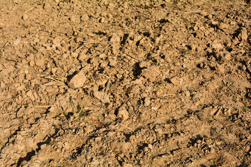 Plowed field on a dry day