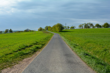 Fototapeta na wymiar A empty country road between green nature