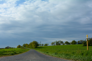 Fototapeta na wymiar A narrow empty country road between green nature
