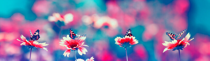 fabulous natural panoramic background with bright butterflies sitting in a row on flowers in the...