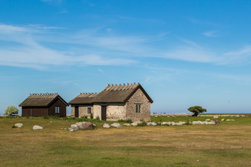 Fototapeta na wymiar Group of simple, rural houses with traditional reed roofs near the southern tip of the island of Öland, Sweden