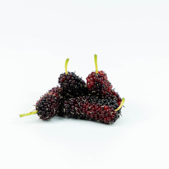 Fresh mulberry fruit placed on green mulberry leaves isolated on white background.