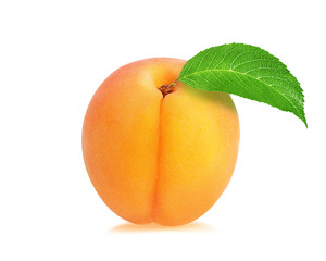Fresh apricot with leaves isolated on white background with clipping path