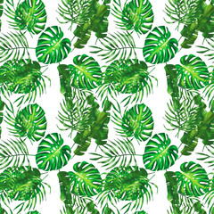 Green pattern with monstera palm leaves on isolated background. Seamless summer tropical fabric design.