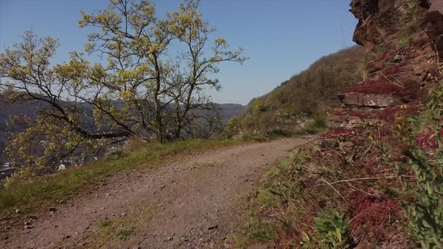Moseltal bei Valwig,  Apolloweg im Fr&uuml;hling, Weinbau und Brachen