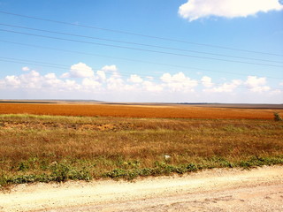 Fototapeta premium Beautiful landscapes of golden fields in summer with white clouds