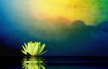 Fotobehang Zen Lotus flower with sunrise background.  © Belight
