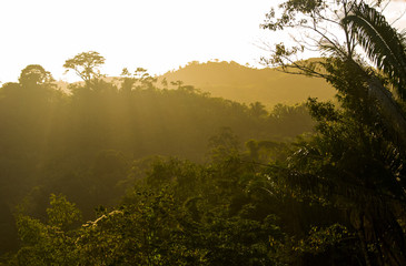 Sunset over the lush jungle of Belize