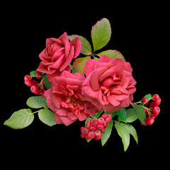 Floral arrangement, bouquet of flowers. Red roses and berry isolated on black background. Can be used for invitations, greeting, wedding card.