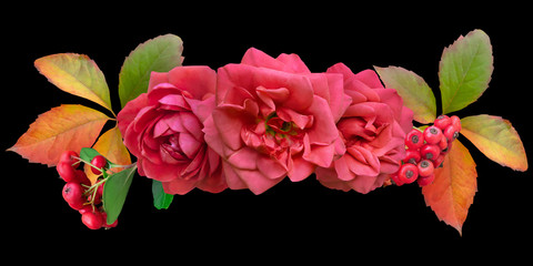 Floral arrangement, bouquet of flowers. Red roses and berry isolated on black background. Can be used for invitations, greeting, wedding card.