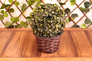 Vase with green leaves is on a wooden table.
