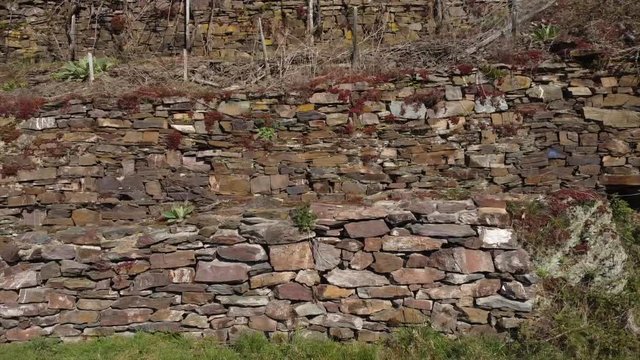 Moseltal bei Valwig,  Apolloweg im Fr&uuml;hling, Weinbau und Brachen