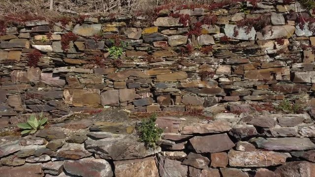 Moseltal bei Valwig,  Apolloweg im Fr&uuml;hling, Weinbau und Brachen