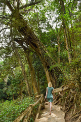 Naklejka na ściany i meble Blonde woman with green dress walking in green Vietnam jungles