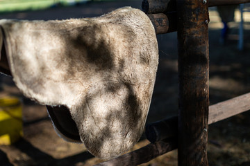 Tapis de selle pour cheval en peau de mouton