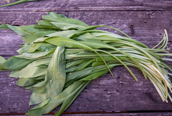 fresh fragrant herbs - onion, wild leek, nettle and dandelions