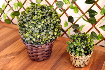 Vases with green leaves are on a wooden table.