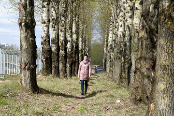 Fototapeta premium A girl walks along a spring poplar alley. It goes between two rows of tall trees. Dressed in a spring jacket, a scarf around her neck. Around the blossoming greens on the trees.